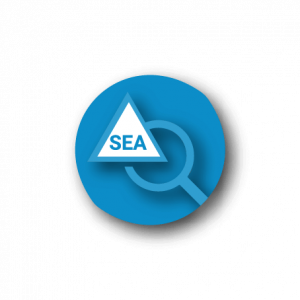 SEA Expert Abonnement