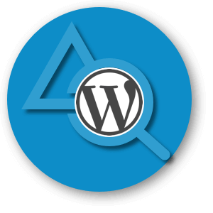 Wordpress Website Audit